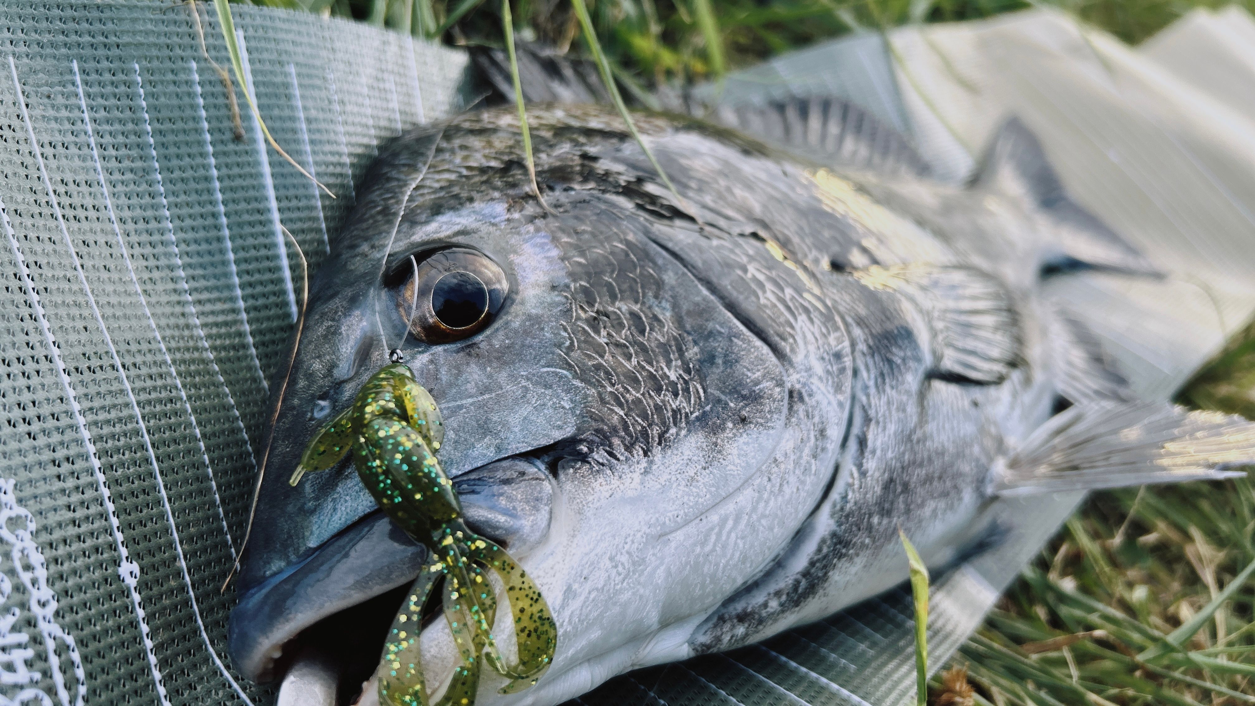 Image in a image block