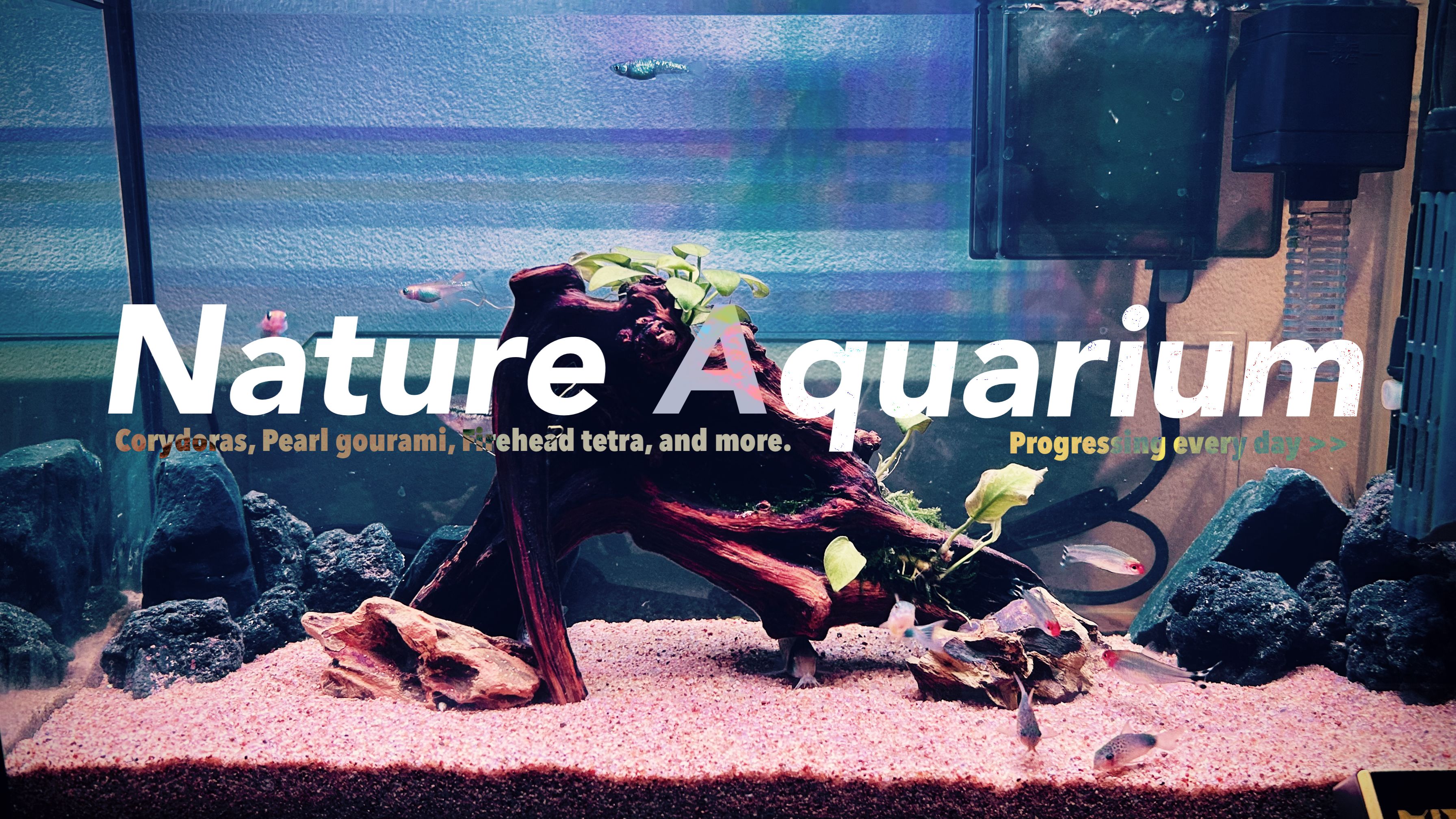 Featured image of the post