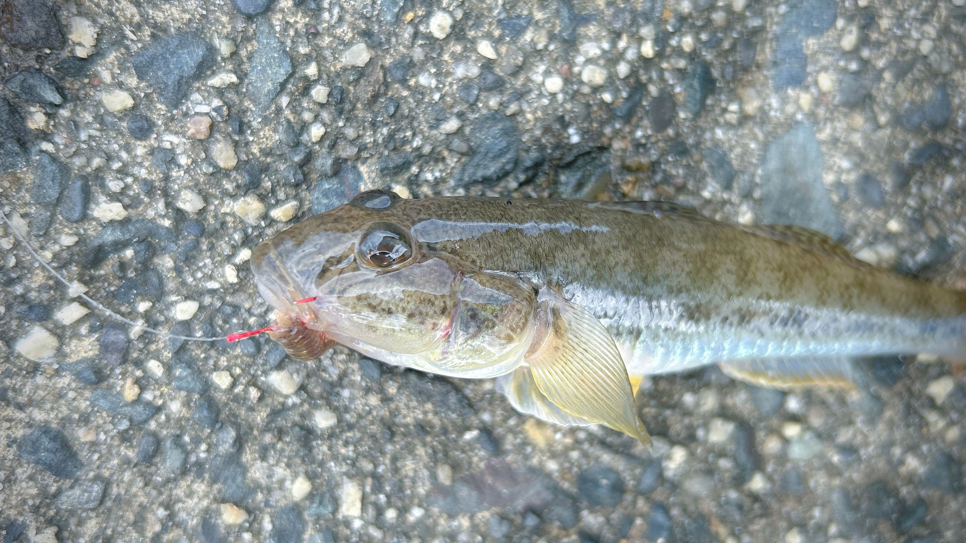 Image in a image block