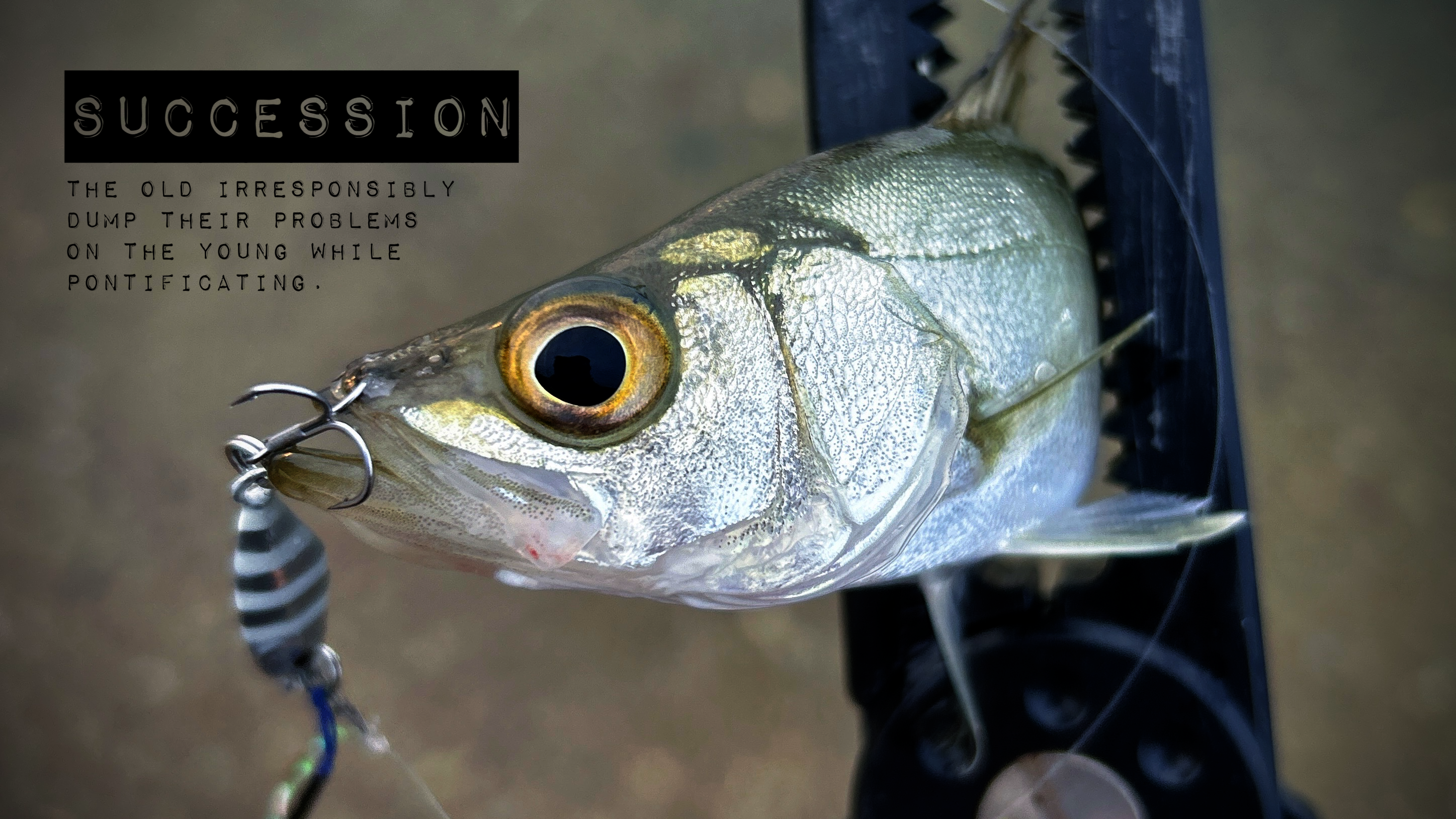 Featured image of the post