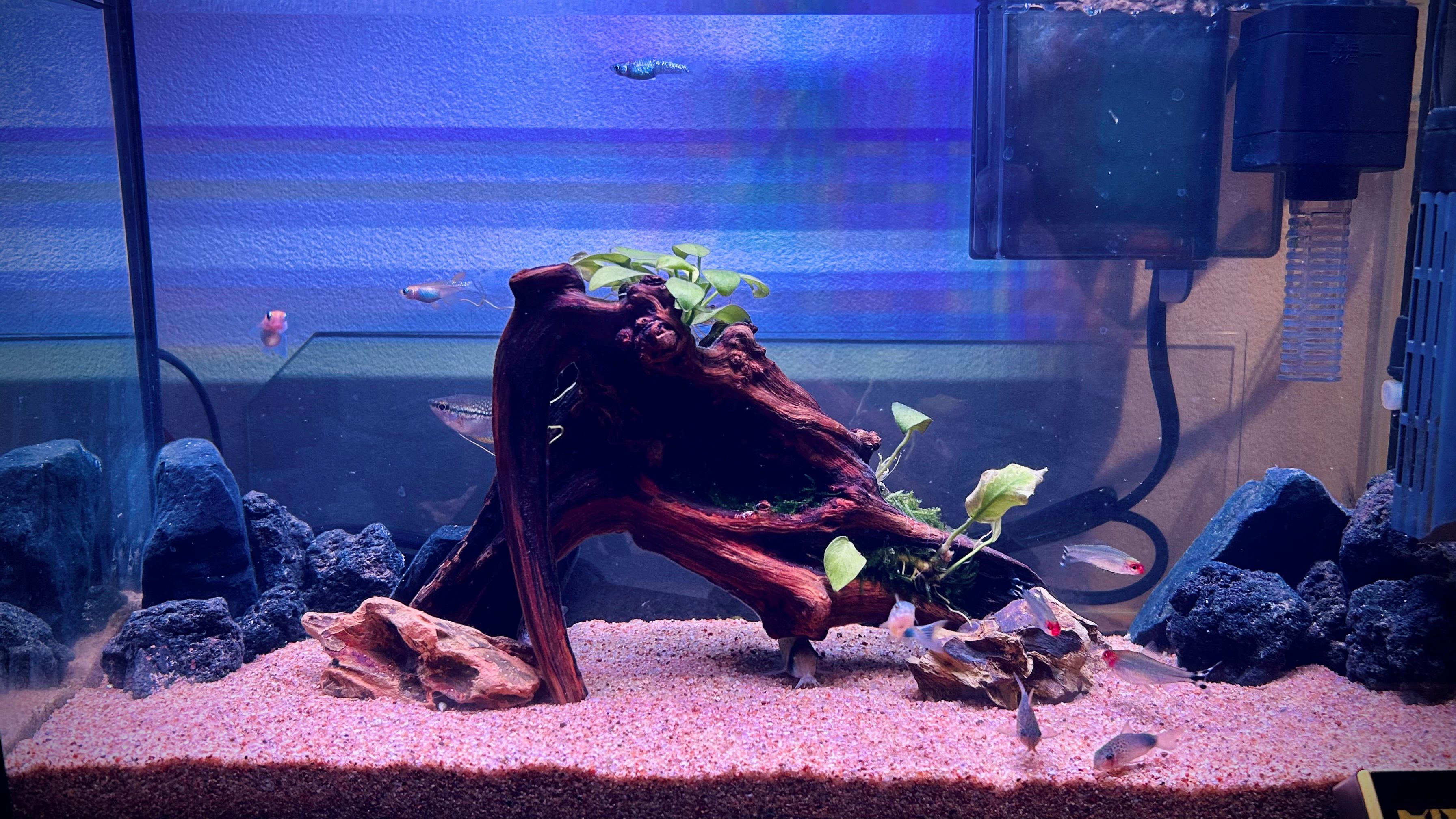 Image in a image block