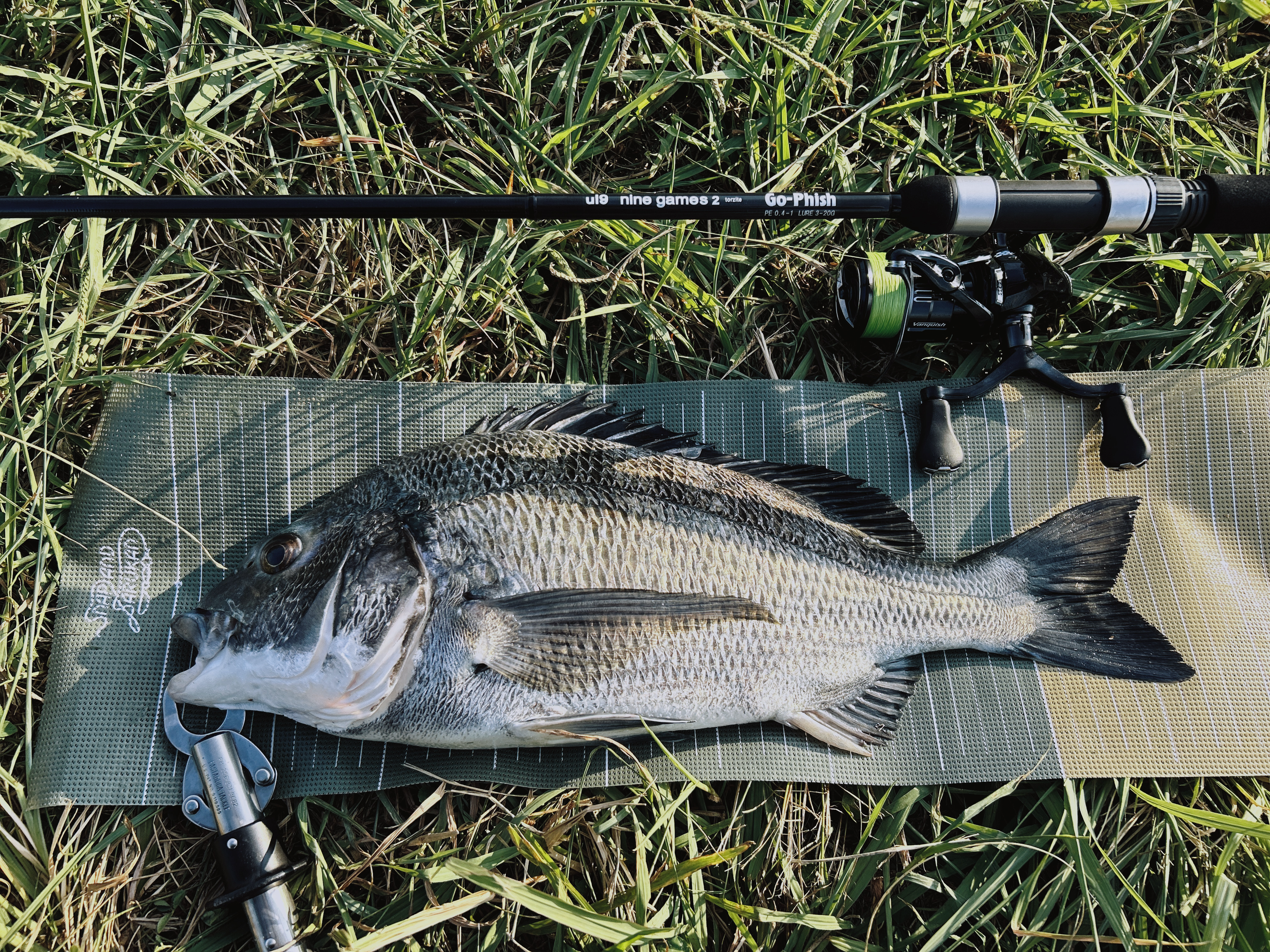 Image in a image block