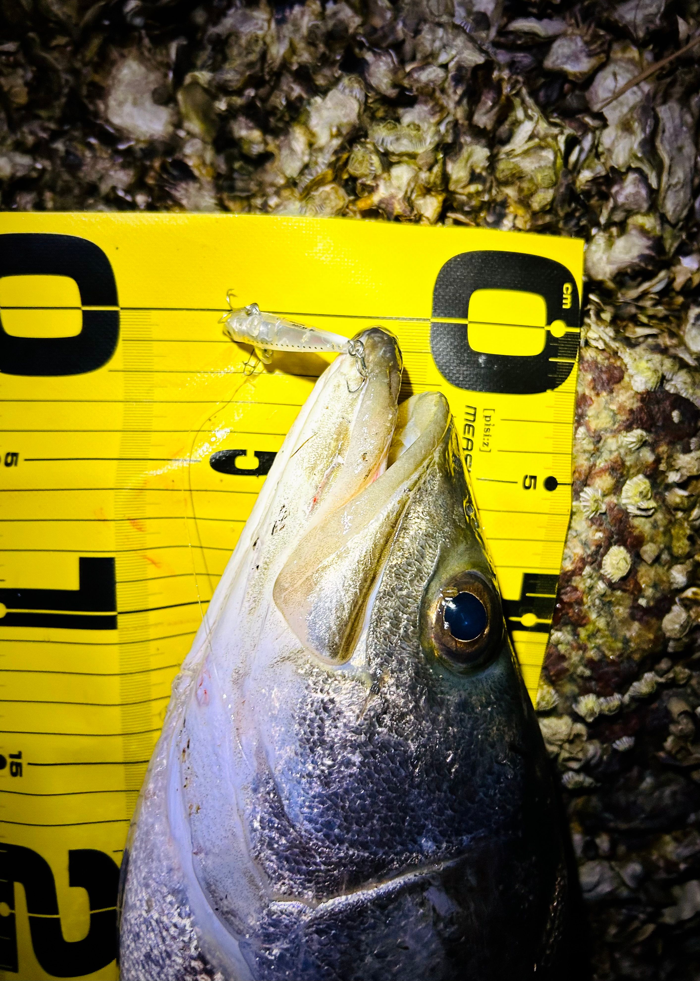 Image in a image block