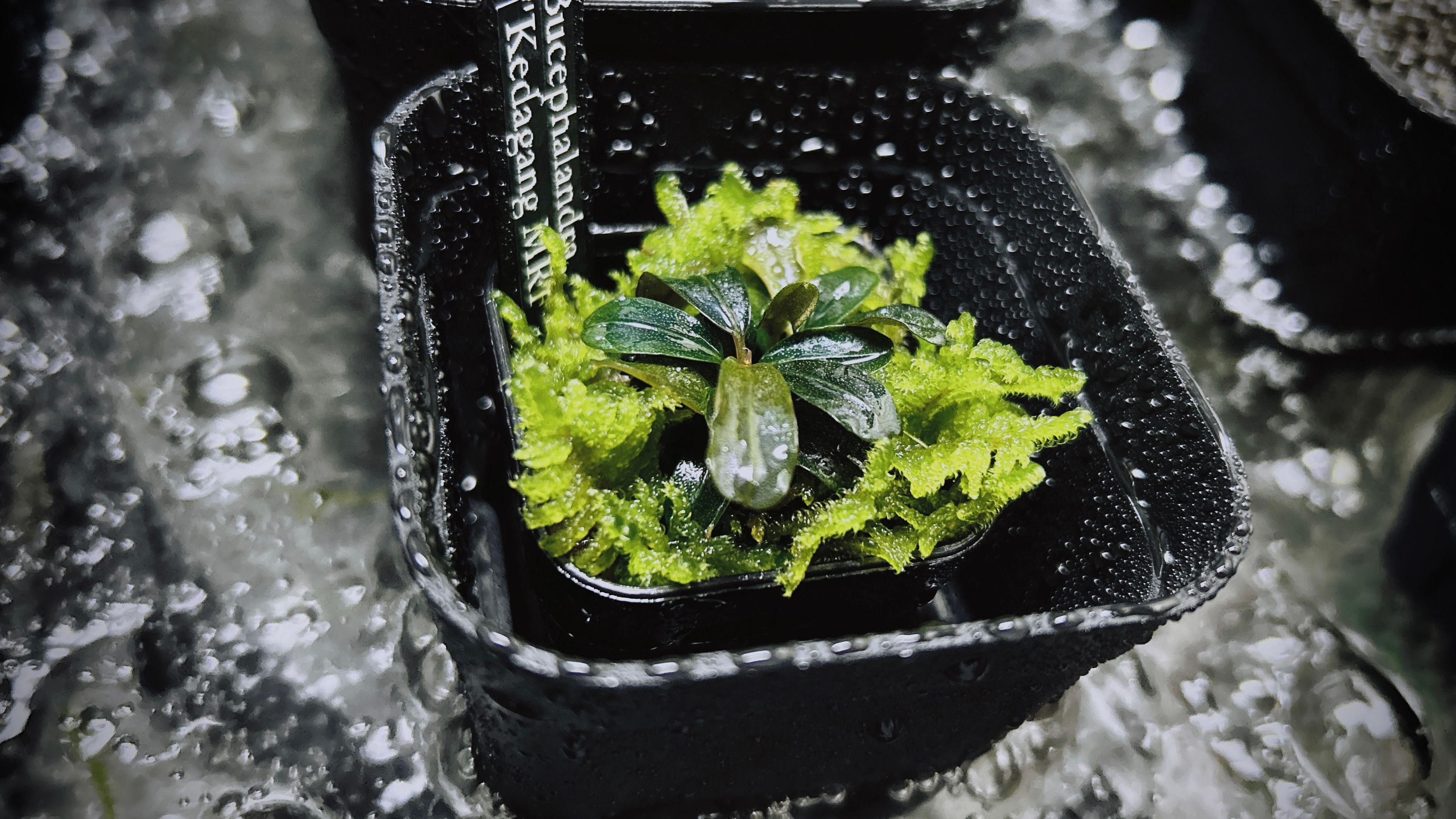 Image in a image block