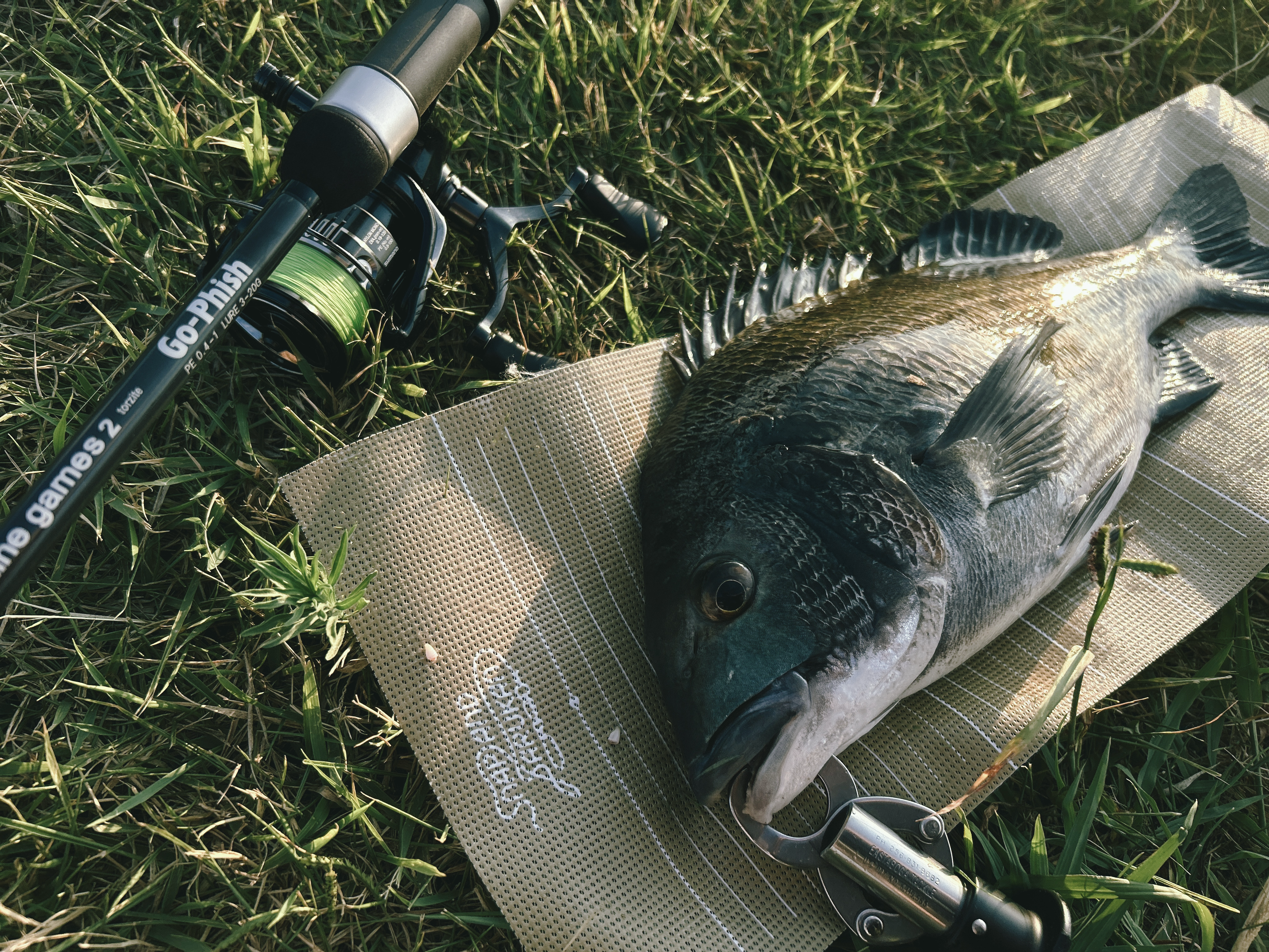 Image in a image block