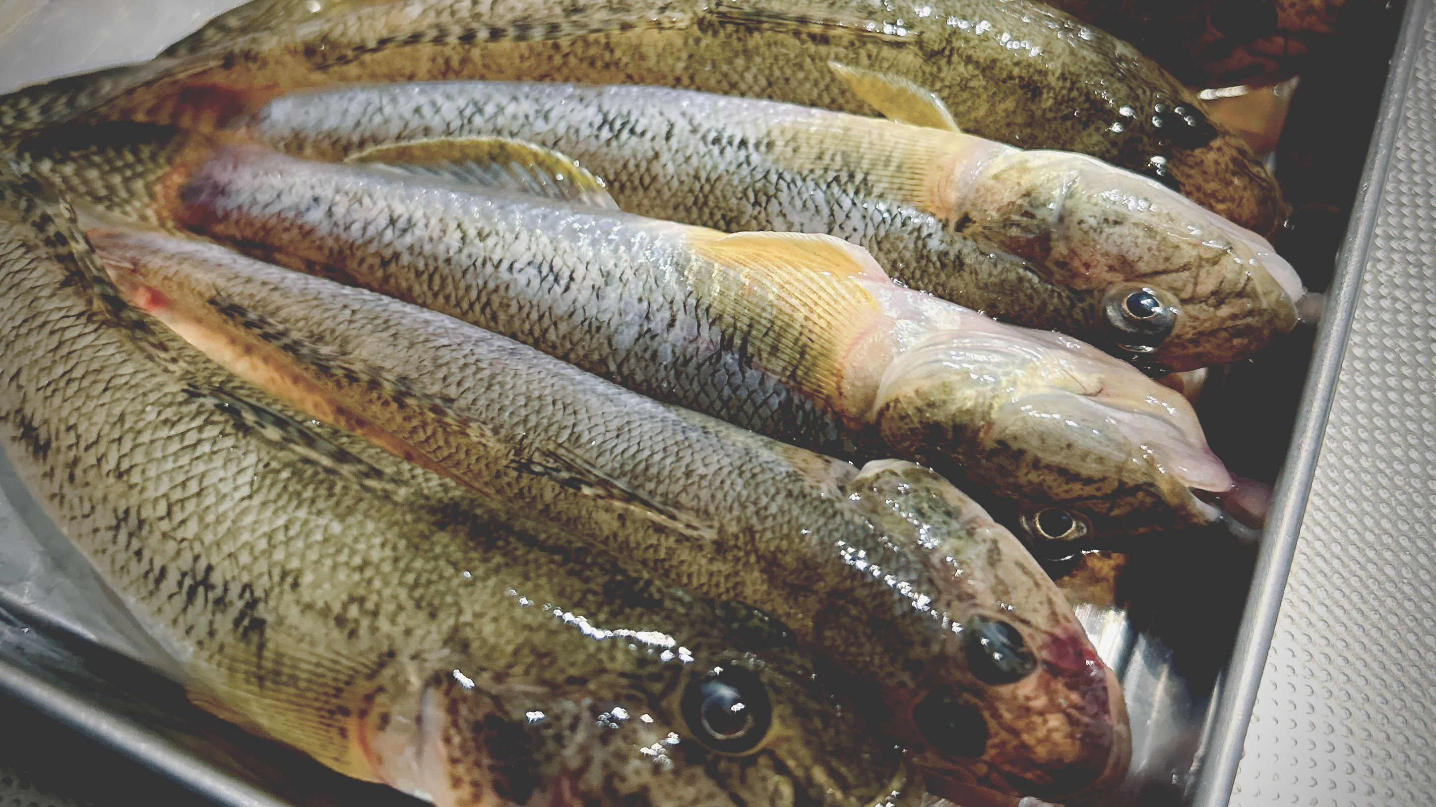 Image in a image block