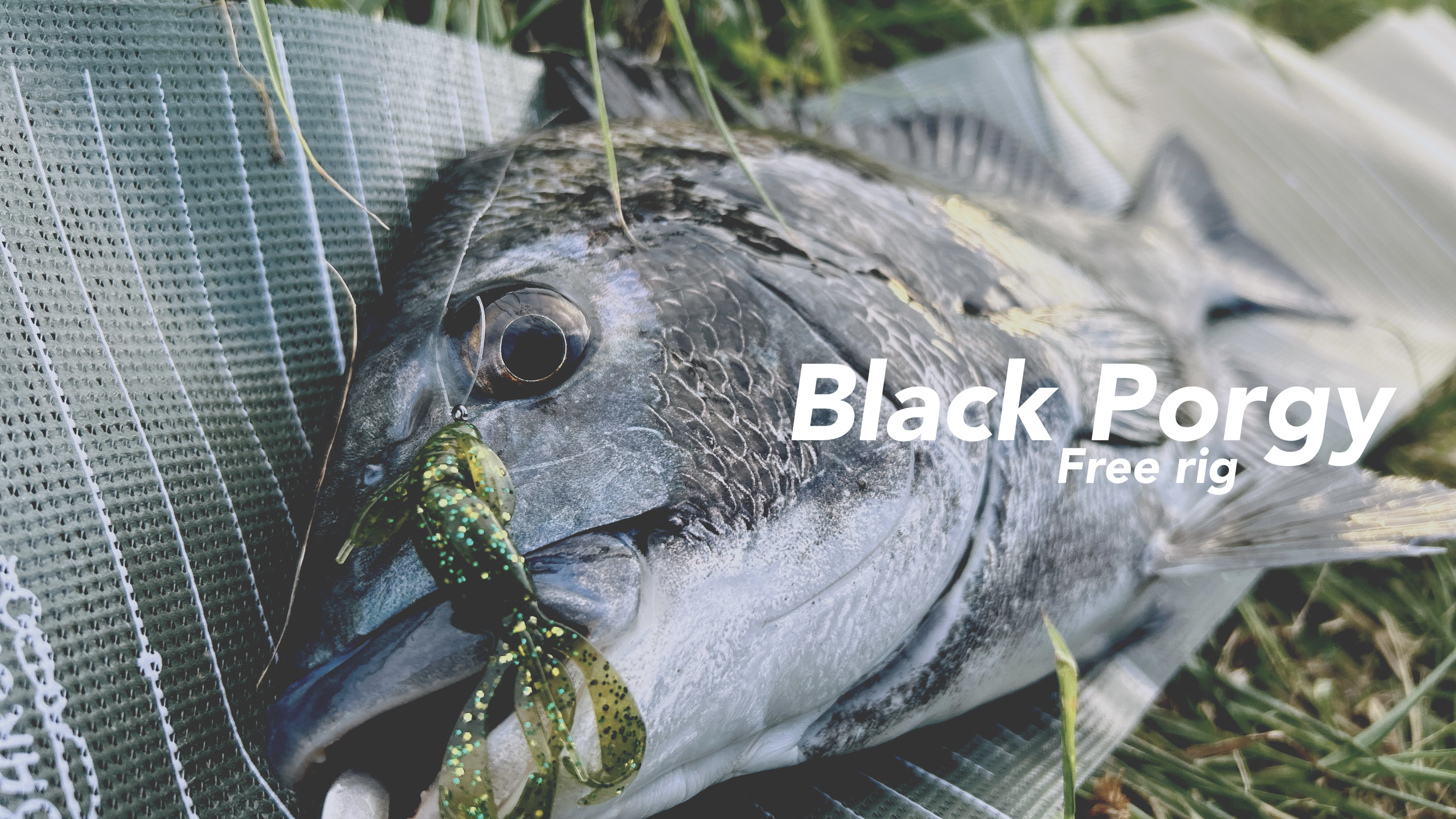 Featured image of the post