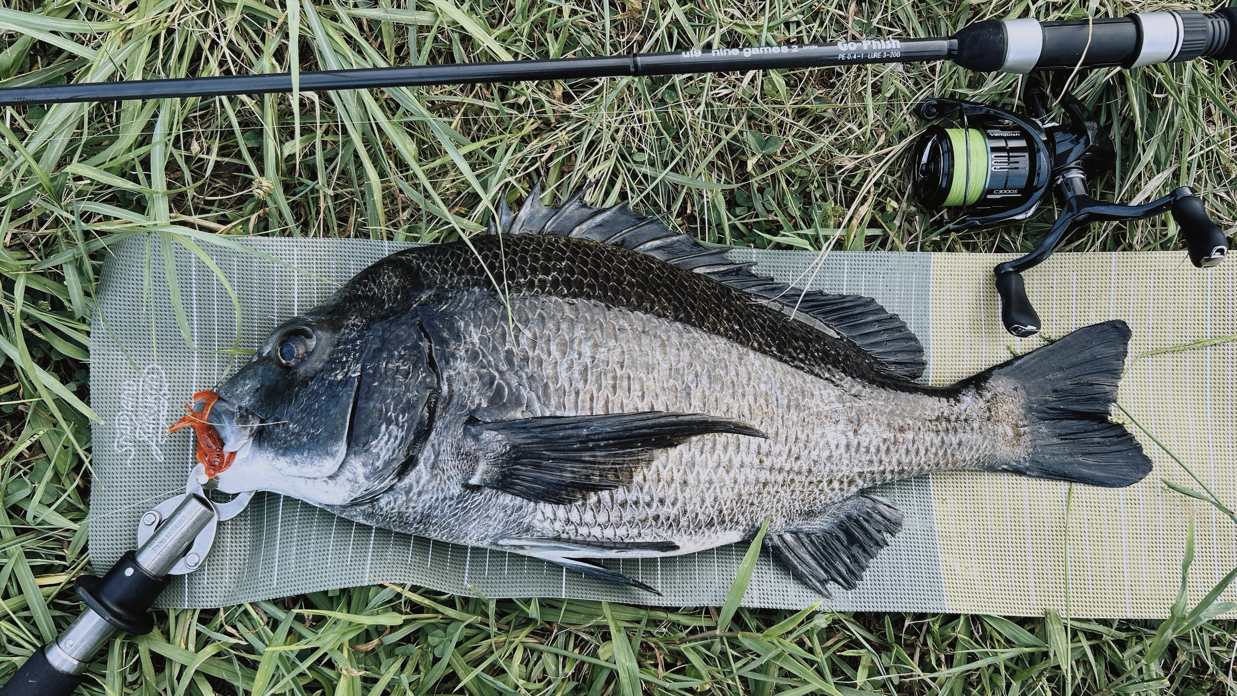 Image in a image block