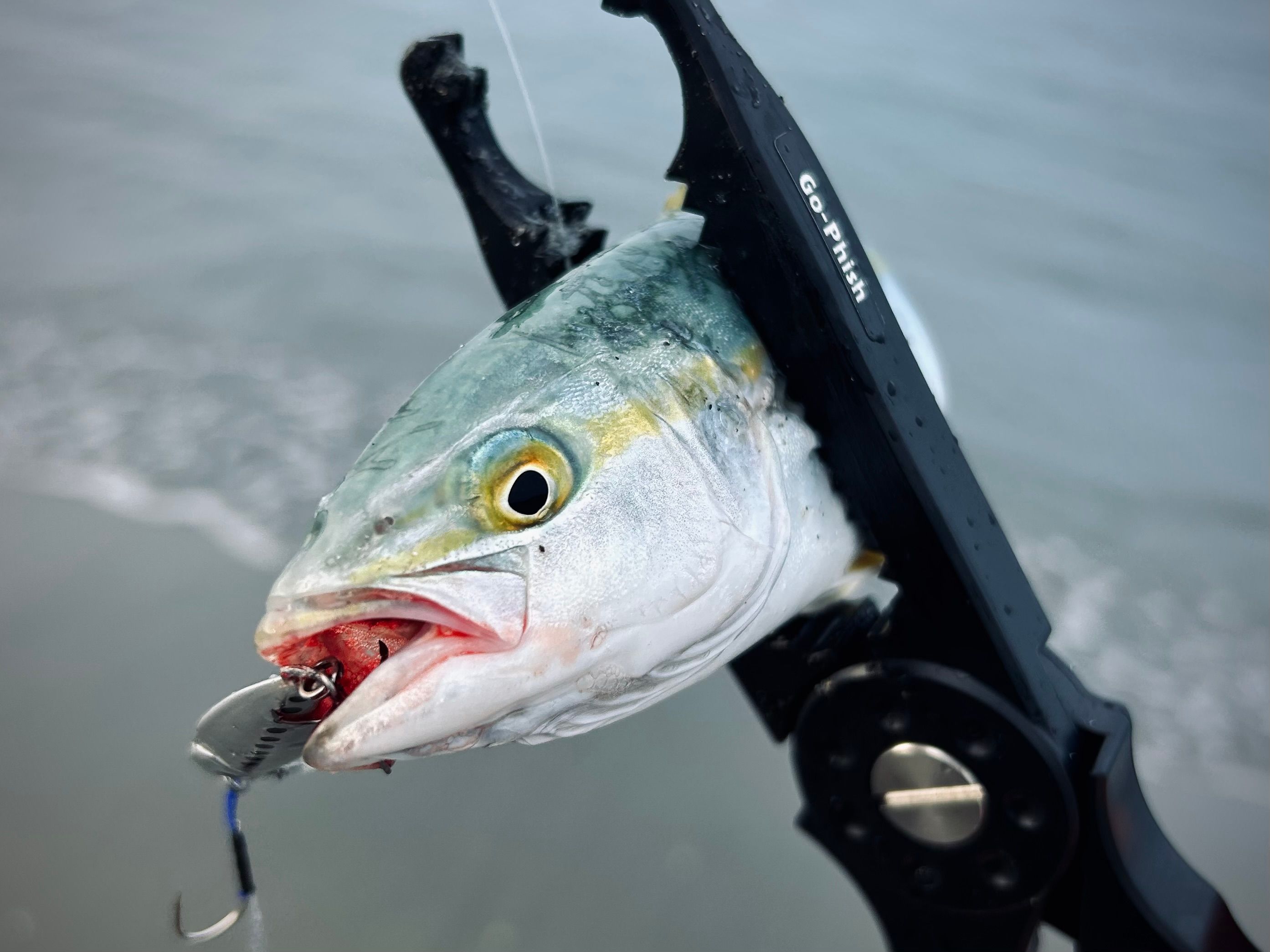 Image in a image block