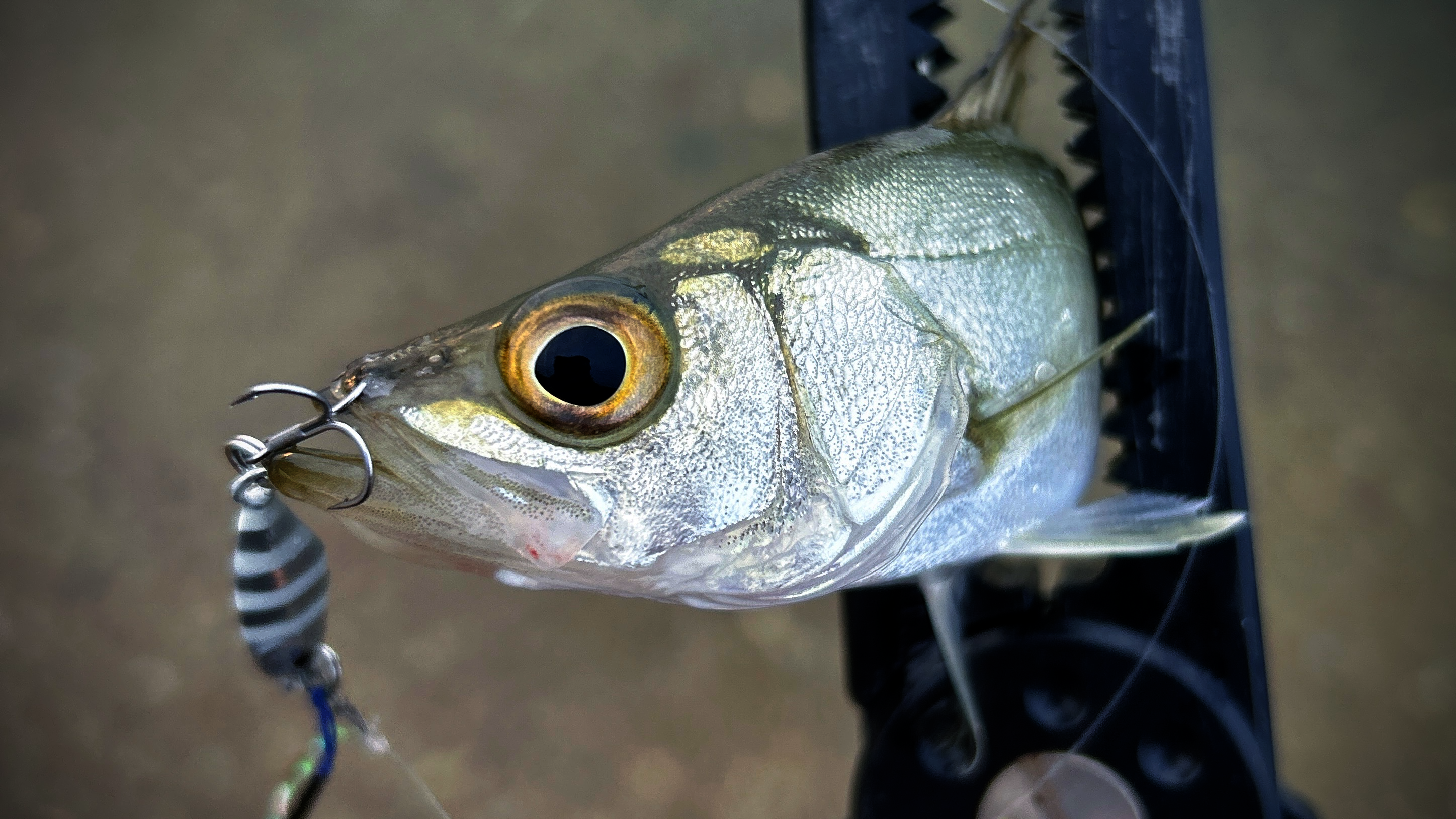 Image in a image block