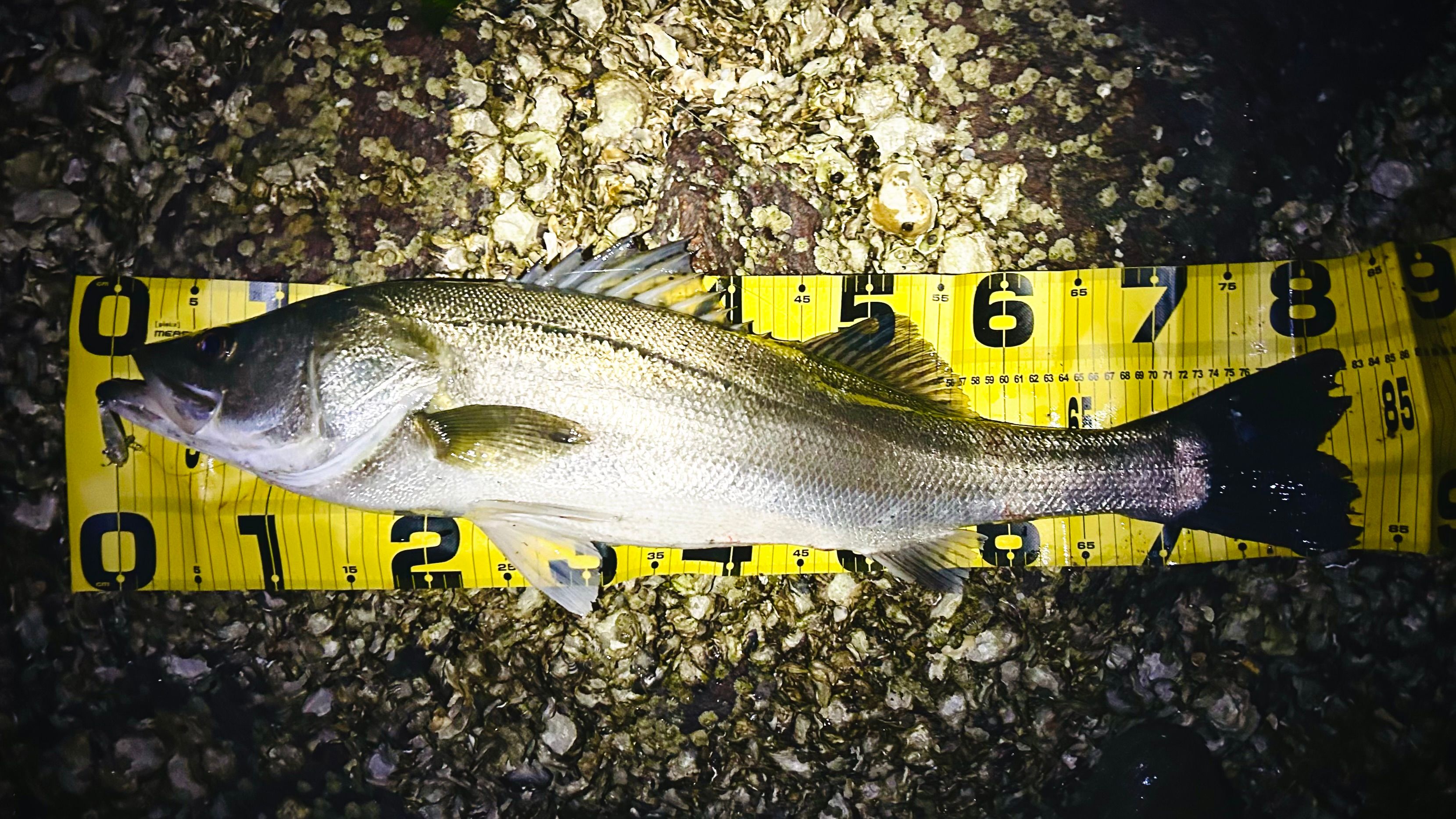 Image in a image block