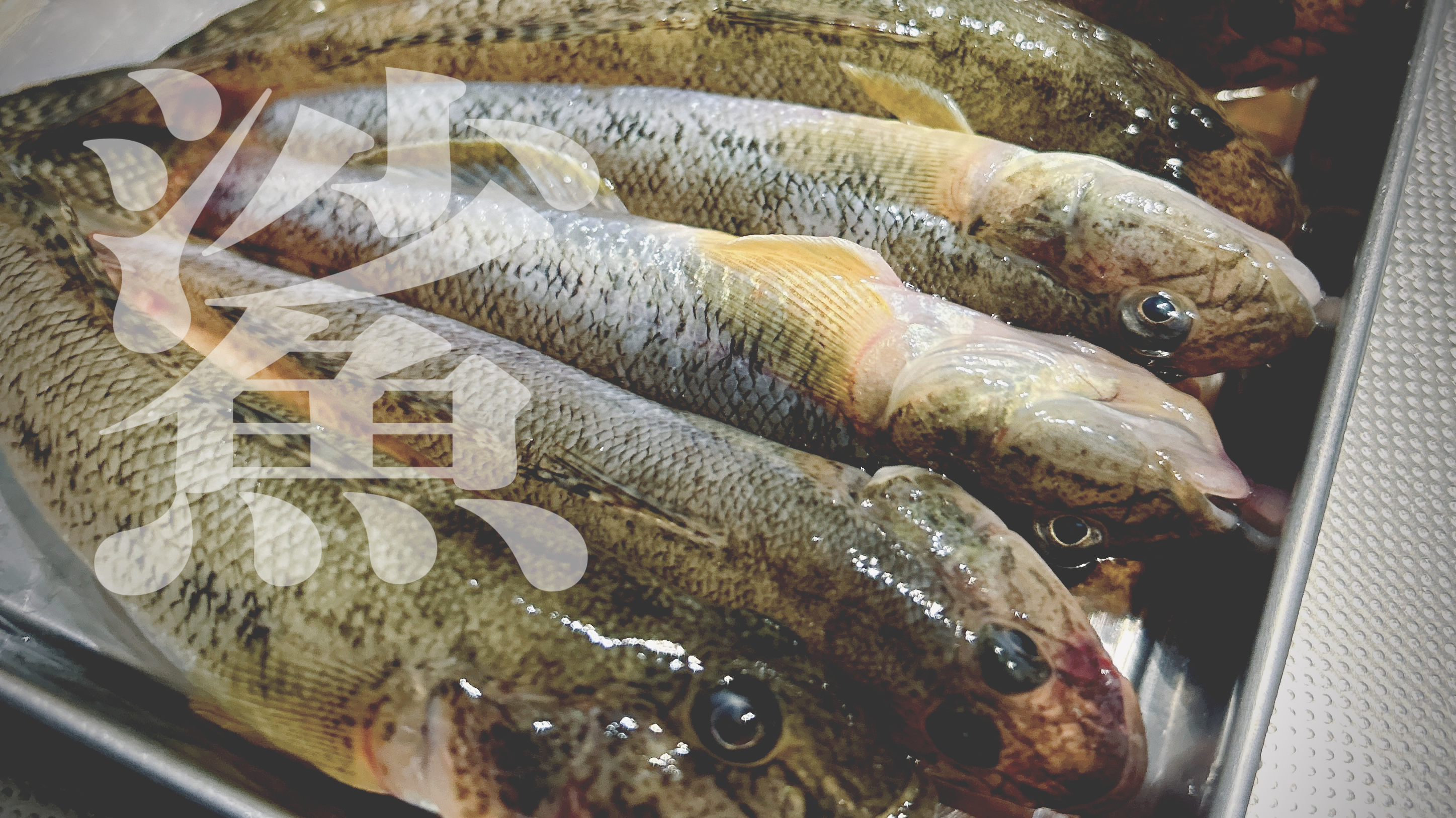 Featured image of the post