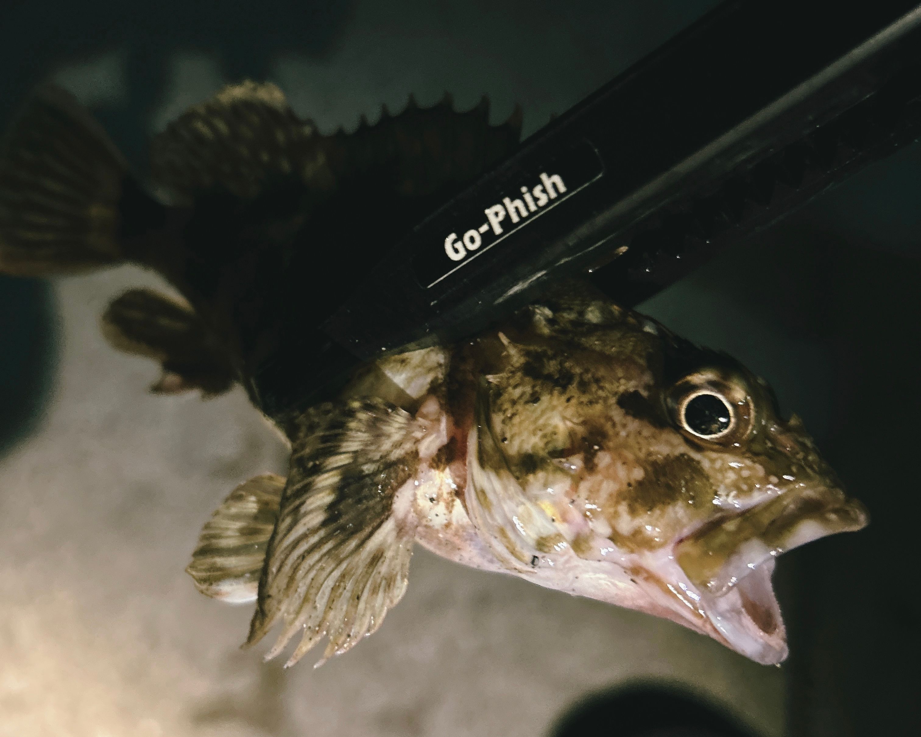 Image in a image block