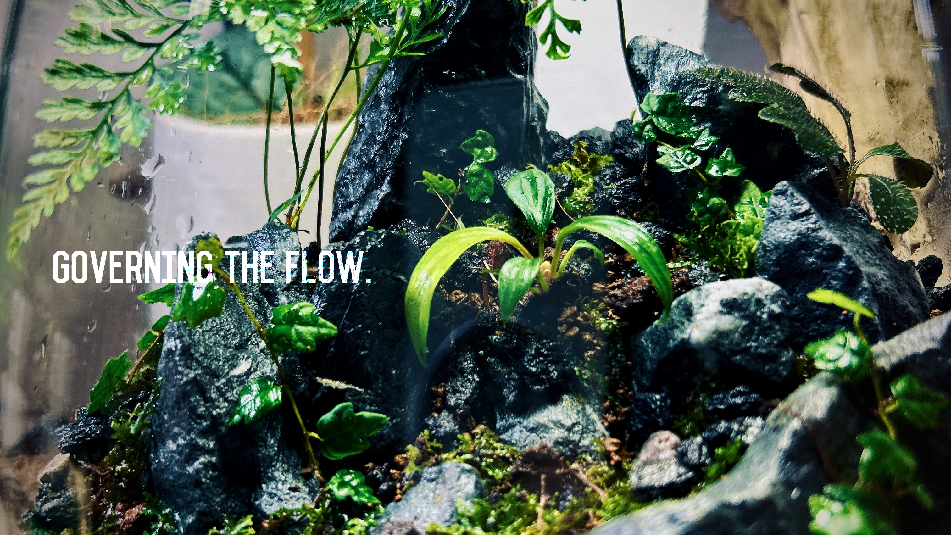 Featured image of the post