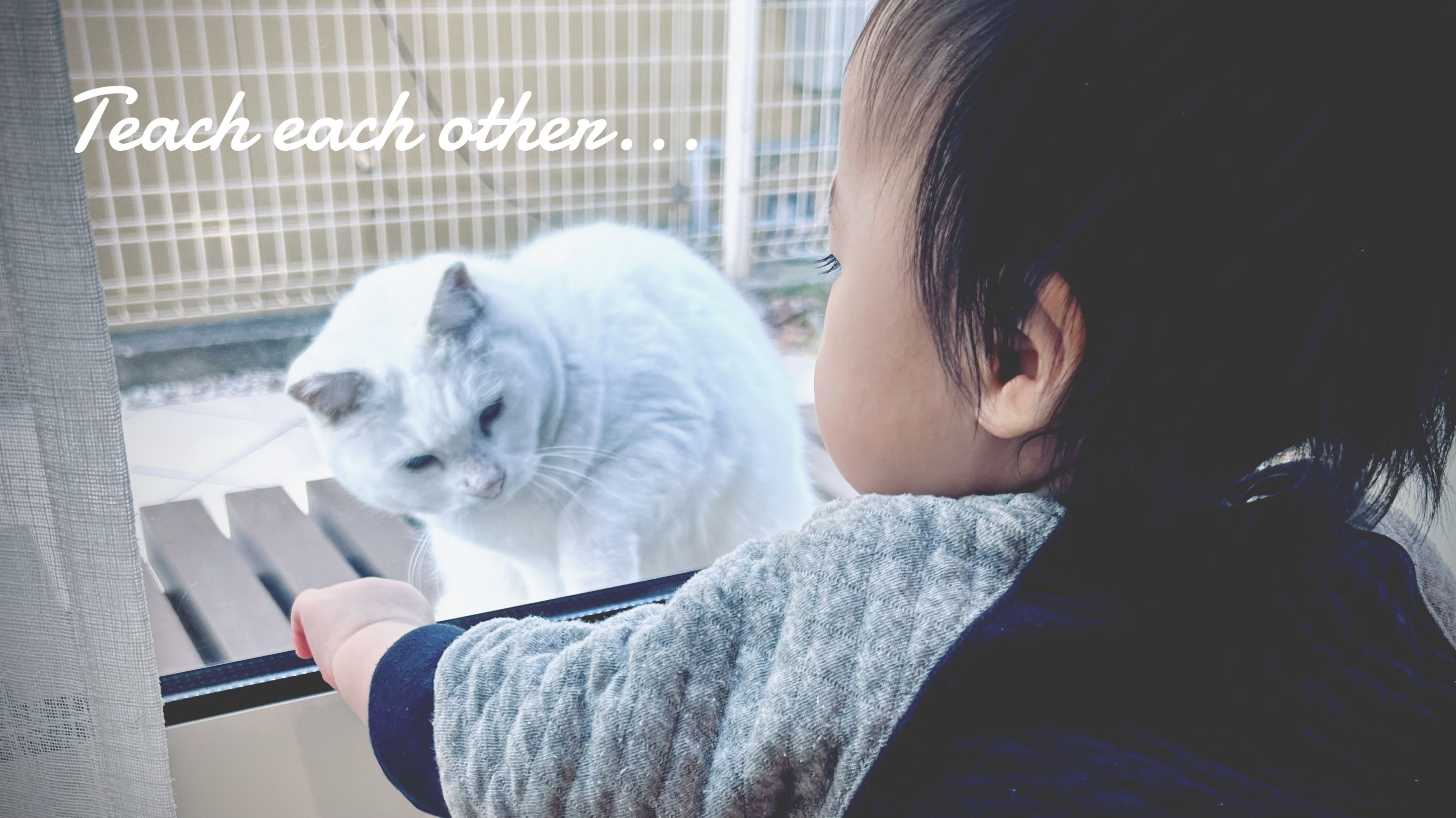 Featured image of the post